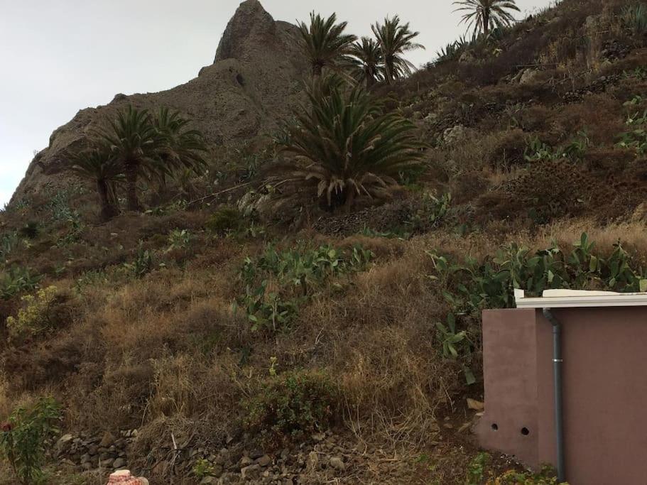 Casa-Solarium En La Naturaleza サンタクルスデテネリフェ エクステリア 写真