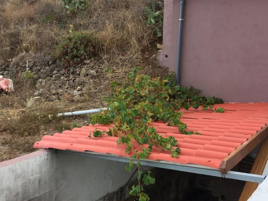 Casa-Solarium En La Naturaleza サンタクルスデテネリフェ エクステリア 写真