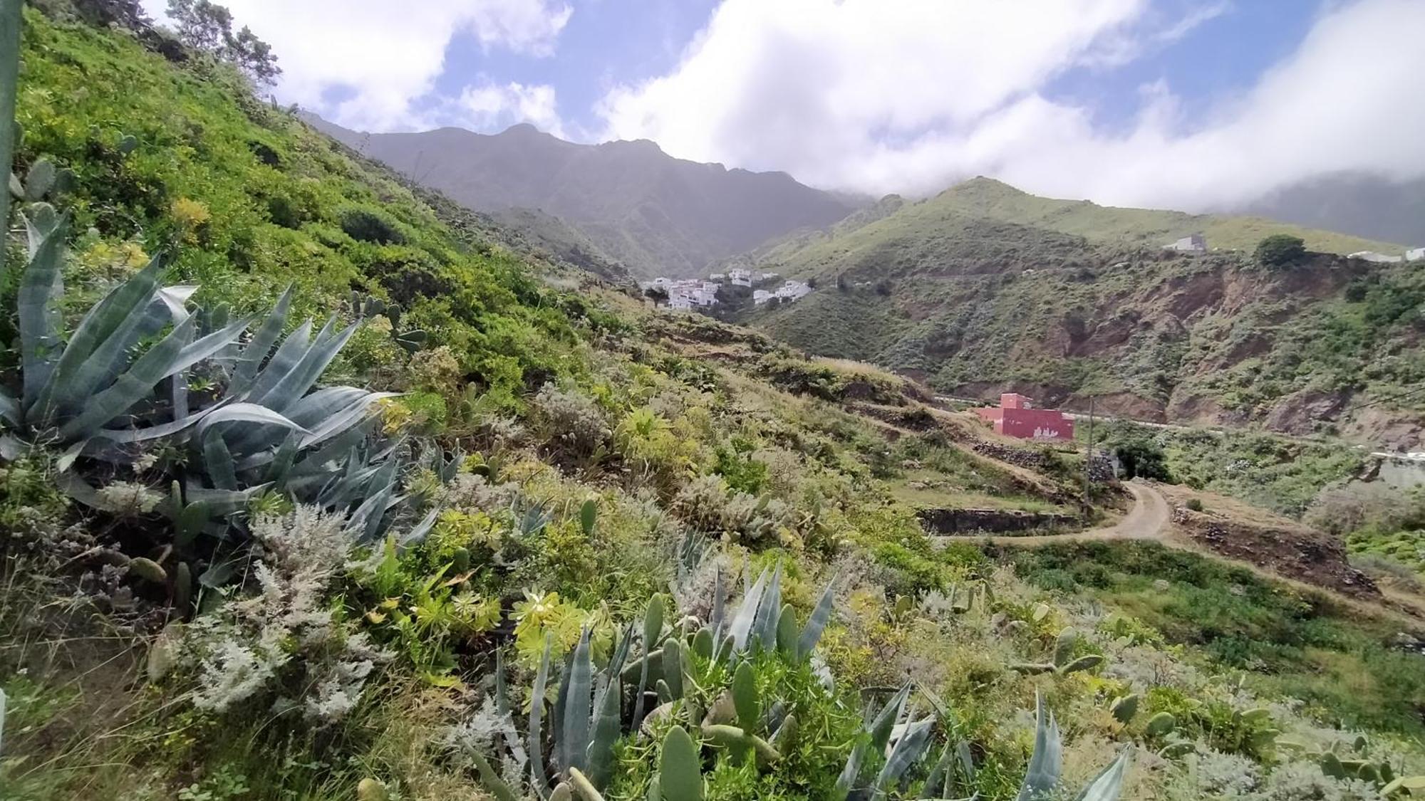 Casa-Solarium En La Naturaleza サンタクルスデテネリフェ エクステリア 写真